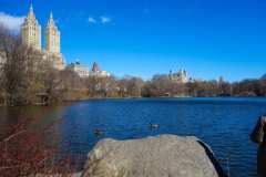 Central-Park-17