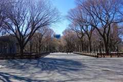 Central-Park-34