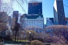 Central-Park-50