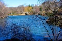 Central-Park-57