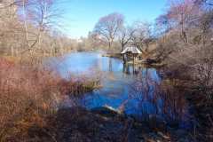 Central-Park-7