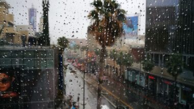 6 Tipps für einen Regentag in Los Angeles