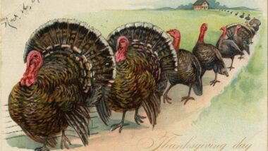 Thanksgiving Ein Fest der Dankbarkeit, Traditionen und Zusammengehörigkeit