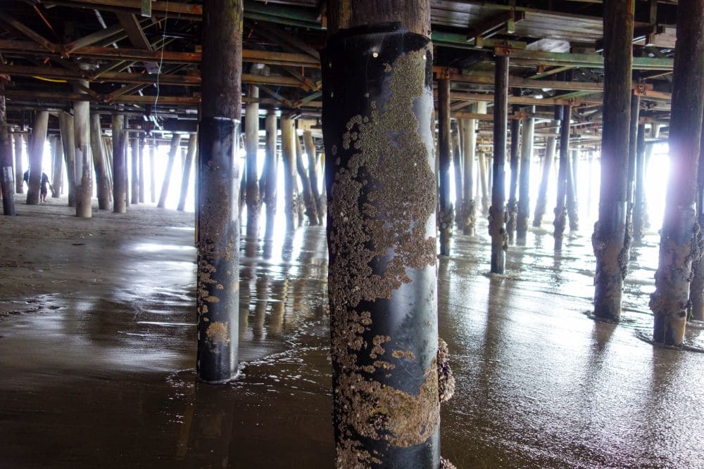 Unter der Santa Monica Pier