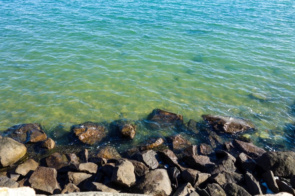 Erste Schritte in Plymouth